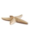 stella-marina-decorativa-travertino-rosso-red-travertine-starfish-art-cosebelleantichemoderne