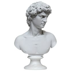 Busto David Michelangelo in marmo varie misure cosebelleantichemoderne