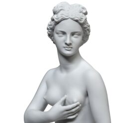 Venere-Medici-scultura-in-marmo-cosebelleantichemoderne