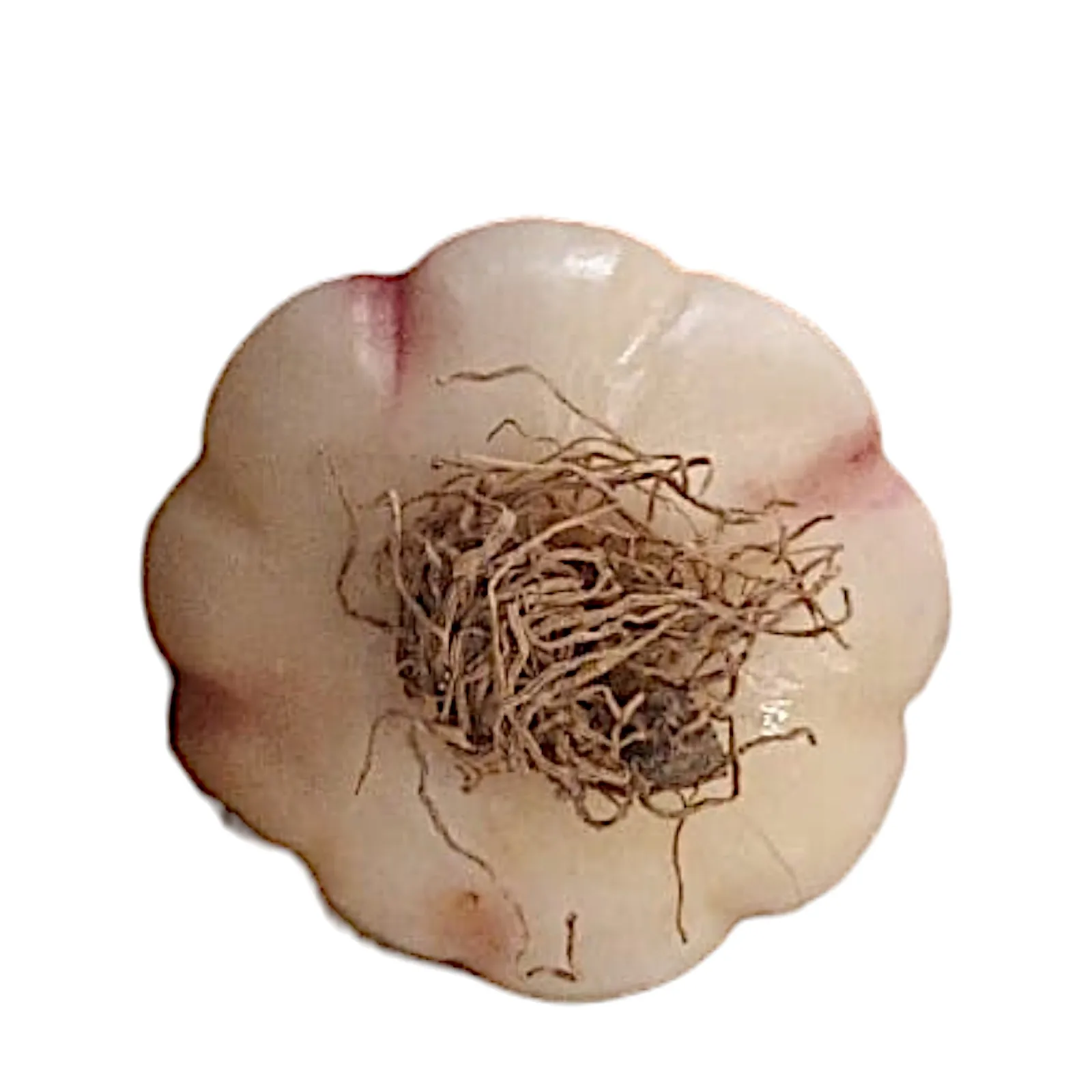 aglio-marmo-scultura-tavolo-cosebelleantichemoderne