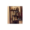 Francesca R. profile picture